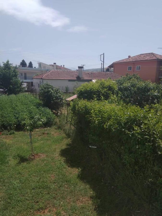 Dream House Ioannina Lejlighed Eksteriør billede